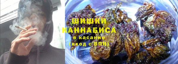гидра Ладушкин